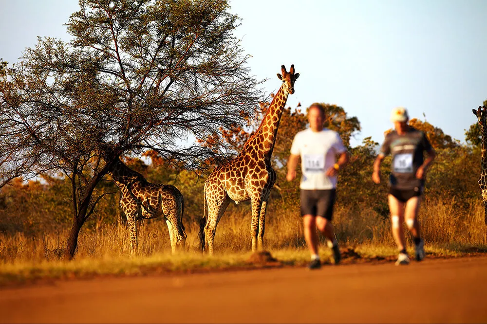 Big Five Marathon