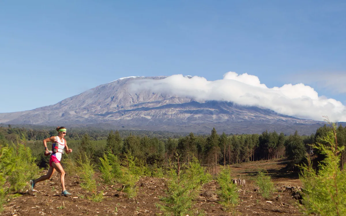 Kilimanjaro Stage Run