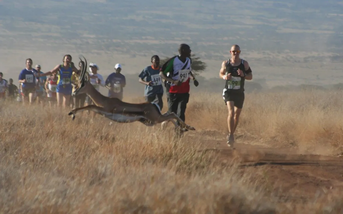 Lewa Safari Marathon