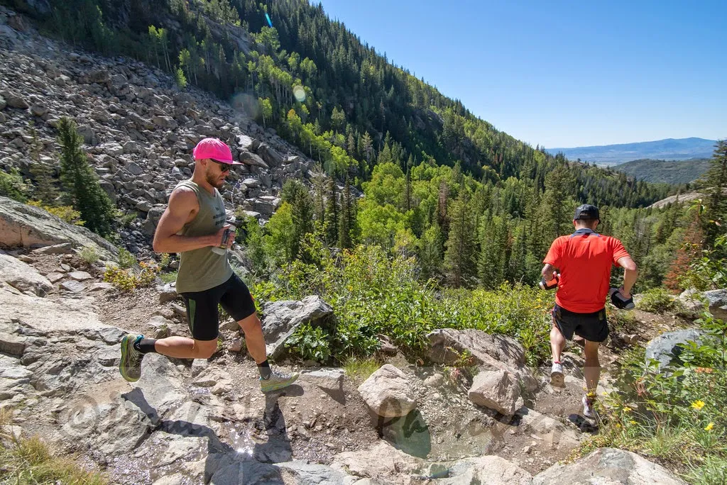 Run Rabbit Run 100