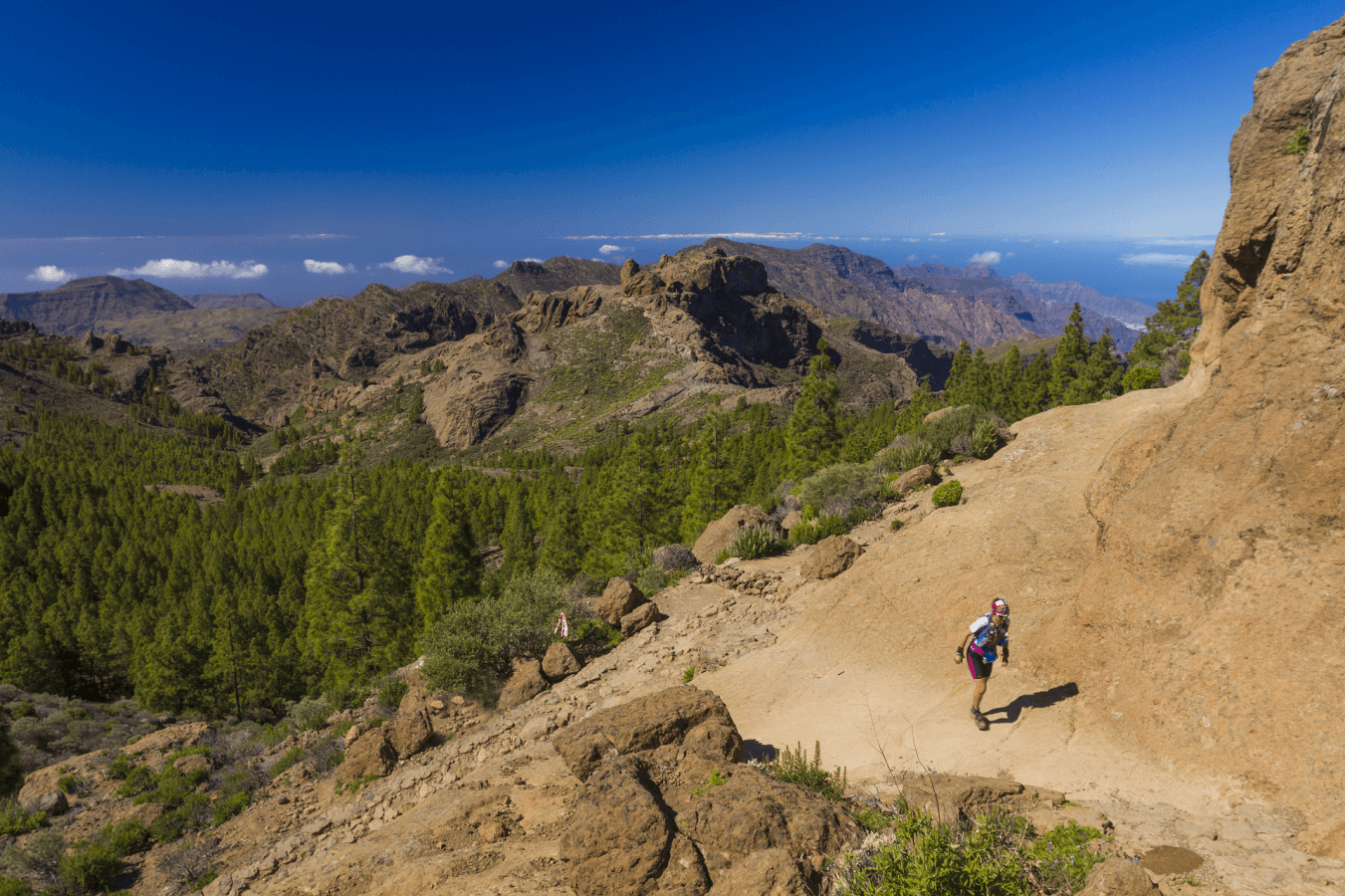 Transgrancanaria