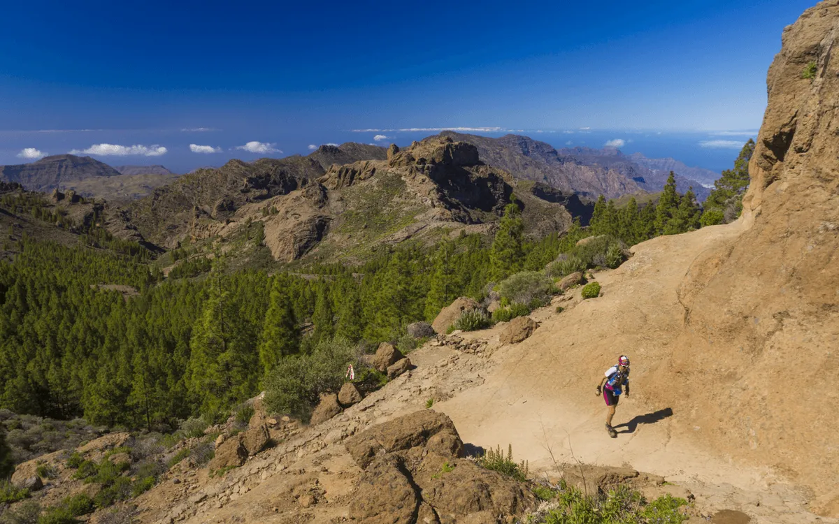 Transgrancanaria