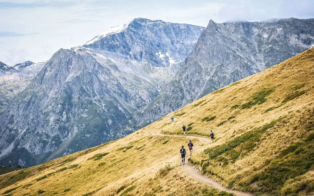 UTMB OCC