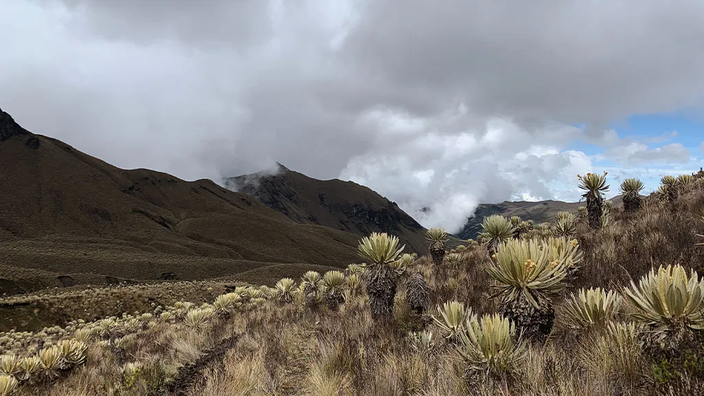 Ultra Trail Los Nevados